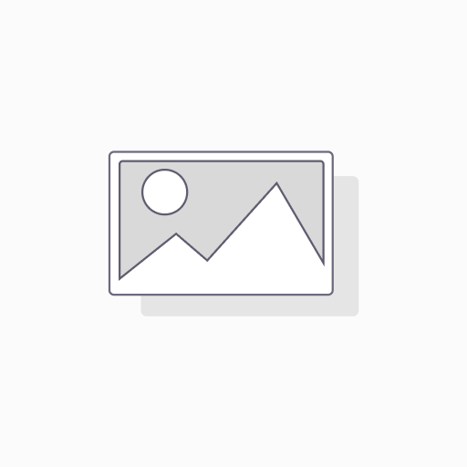 Rapport conception d'un site web